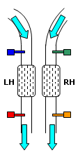 O2 sensors