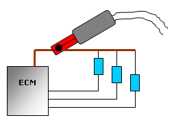 ECM